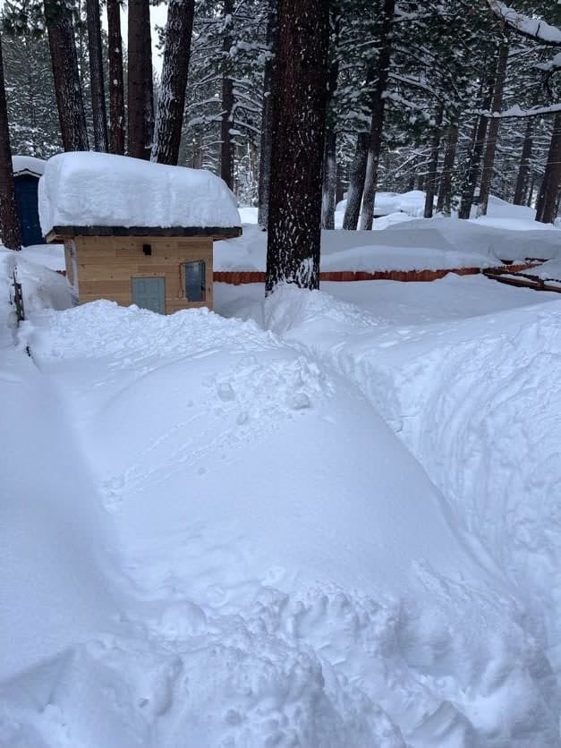 Sauna Bench Height: How to Position Upper and Lower Benches